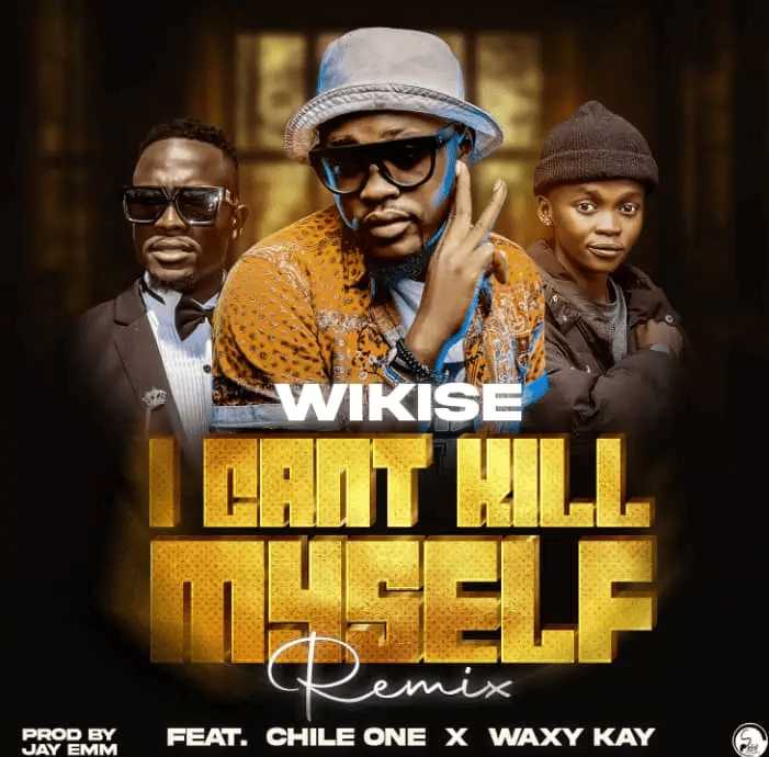 I Can t Kill Myself Remix | Wikise | XaMuzik