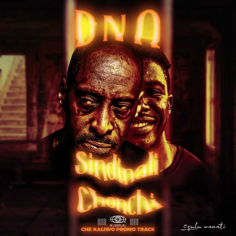 Sindinalichonchi | DNA |  |  XaMuzik